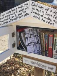 Little library with the story sheroes zine sticking out of it