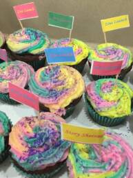 multicoloured cupcakes with little flags that say Zine Launch