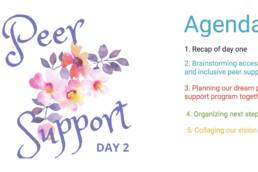 agenda page for peer support facilitation