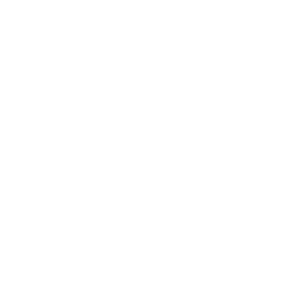 YW Kitchener-waterloo