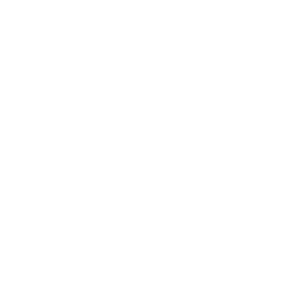 YWCA Cambridge logo