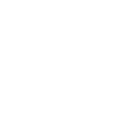 I do Project logo